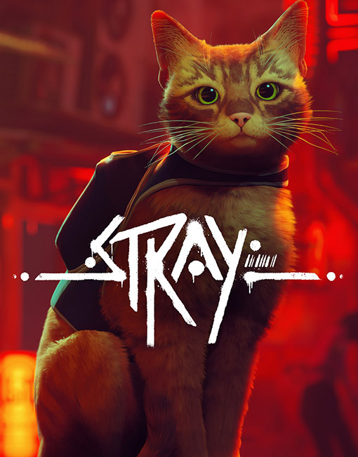 Stray PC Game Steam Key