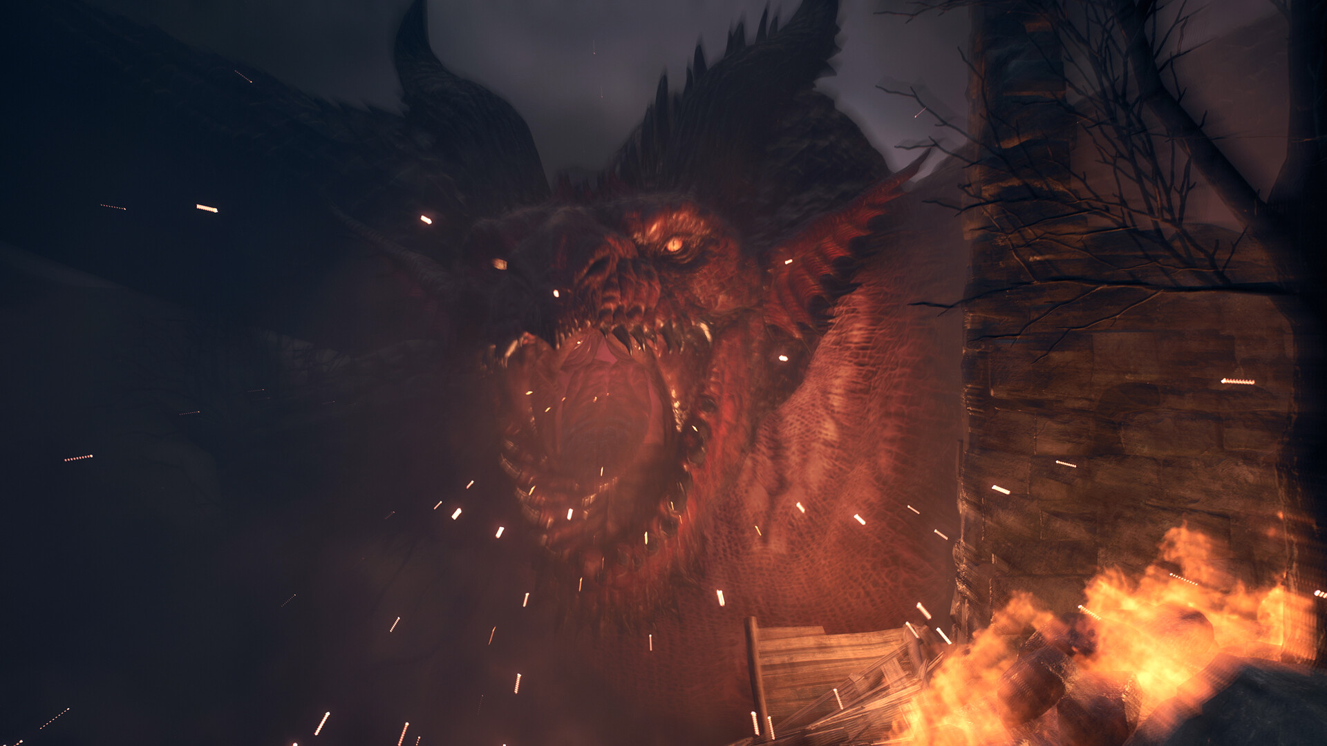 Spotlight: Dragon's Dogma Screenshot